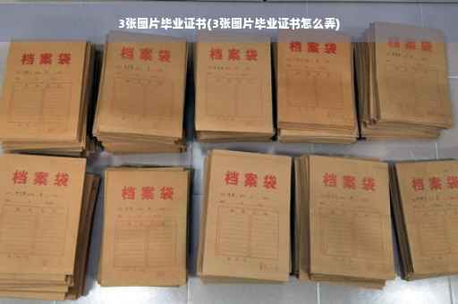 3张图片毕业证书(3张图片毕业证书怎么弄)