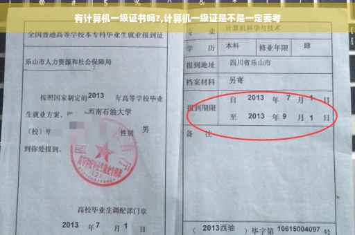 有计算机一级证书吗?,计算机一级证是不是一定要考