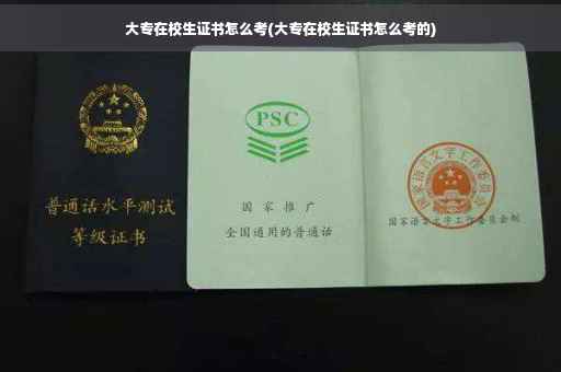大专在校生证书怎么考(大专在校生证书怎么考的)