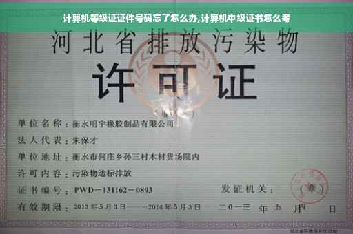 计算机等级证证件号码忘了怎么办,计算机中级证书怎么考