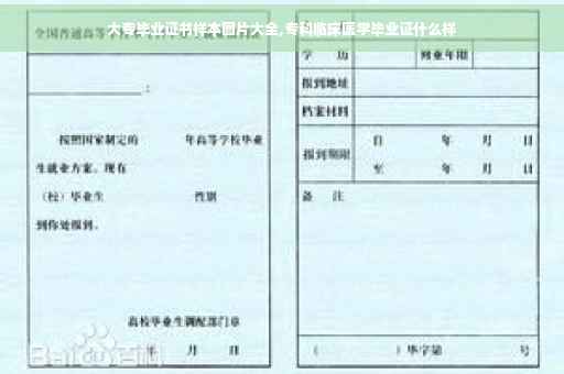 大专毕业证书样本图片大全,专科临床医学毕业证什么样