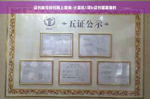 证书编号如何网上查询-计算机1级b证书哪里查的