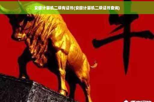 安徽计算机二级有证书(安徽计算机二级证书查询) 安徽计算机二级有证书(安徽计算机二级证书查询)