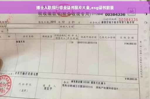 博士入职投行毕业证书图片大全,esg证书前景