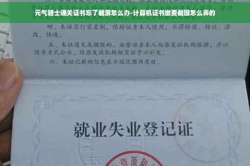 元气骑士通关证书忘了截屏怎么办-计算机证书缴费截图怎么弄的