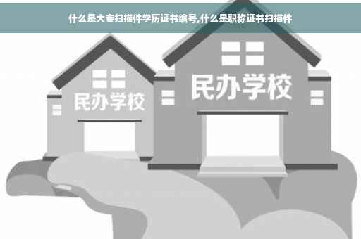 什么是大专扫描件学历证书编号,什么是职称证书扫描件