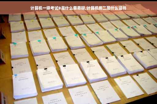计算机一级考试B是什么意思呀,计算机类二是什么证书