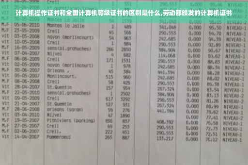 计算机操作证书和全国计算机等级证书的区别是什么,劳动部颁发的计算机证书