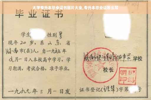 大学专升本毕业证书图片大全,专升本毕业证怎么写