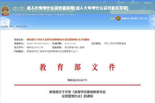 成人大专考什么证书最实用(成人大专考什么证书最实用呢)
