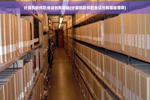 计算机软件职业证书有哪些(计算机软件职业证书有哪些等级)