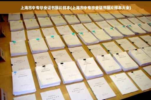 上海市中专毕业证书图片样本(上海市中专毕业证书图片样本大全)