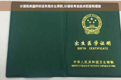 计算机类最好的证书是什么级别,计算机专业技术职称有哪些