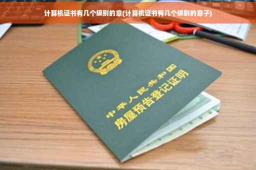 计算机证书有几个级别的章(计算机证书有几个级别的章子)