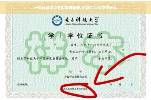 一级计算机证书内容有哪些,计算机1x证书是什么 一级计算机证书内容有哪些,计算机1x证书是什么