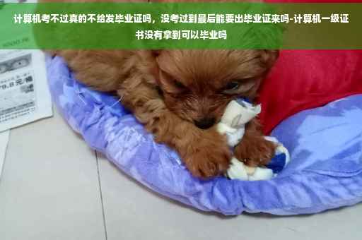 计算机考不过真的不给发毕业证吗，没考过到最后能要出毕业证来吗-计算机一级证书没有拿到可以毕业吗