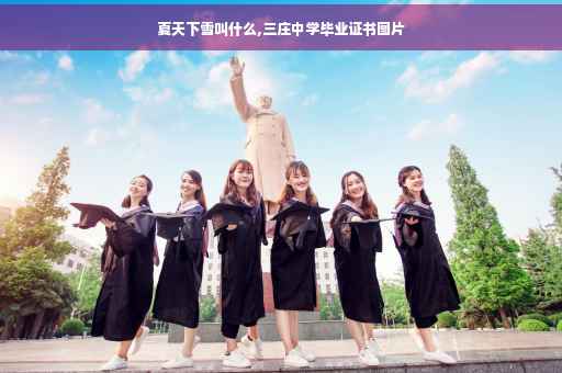夏天下雪叫什么,三庄中学毕业证书图片