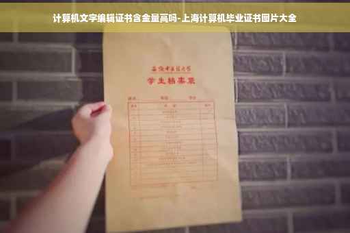 计算机文字编辑证书含金量高吗-上海计算机毕业证书图片大全