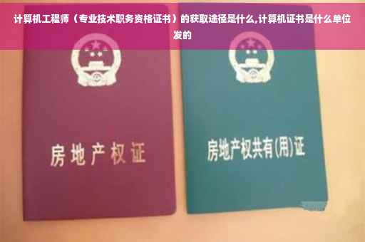 计算机工程师（专业技术职务资格证书）的获取途径是什么,计算机证书是什么单位发的