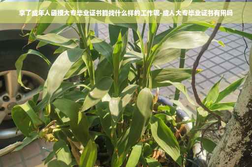 拿了成年人函授大专毕业证书能找什么样的工作呢-成人大专毕业证书有用吗