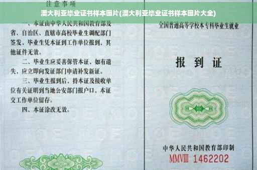 澳大利亚毕业证书样本图片(澳大利亚毕业证书样本图片大全)