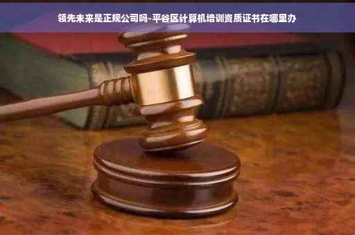 领先未来是正规公司吗-平谷区计算机培训资质证书在哪里办
