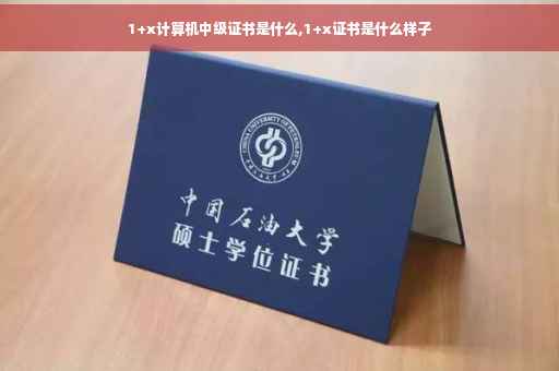 1+x计算机中级证书是什么,1+x证书是什么样子
