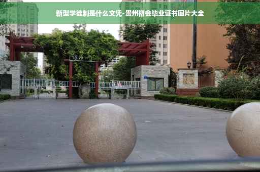 新型学徒制是什么文凭-贵州初会毕业证书图片大全