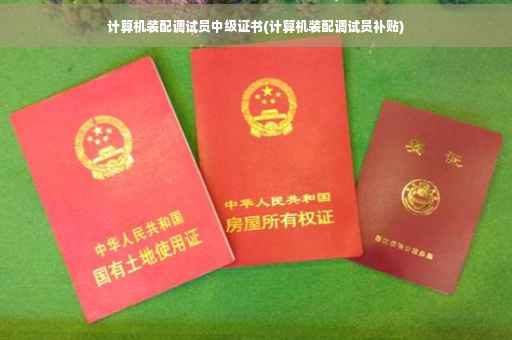 计算机装配调试员中级证书(计算机装配调试员补贴)