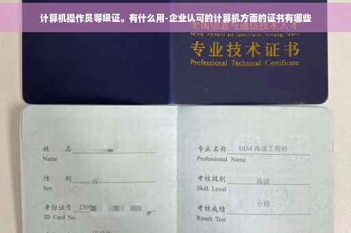 计算机操作员等级证。有什么用-企业认可的计算机方面的证书有哪些