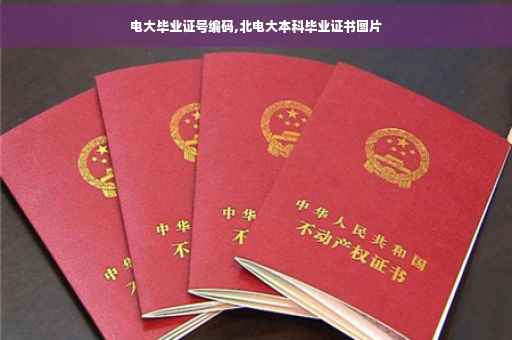 电大毕业证号编码,北电大本科毕业证书图片