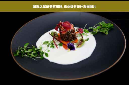 国漫之星证书有用吗,毕业证书设计漫画图片