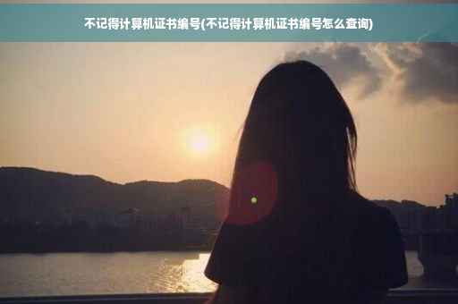 不记得计算机证书编号(不记得计算机证书编号怎么查询)