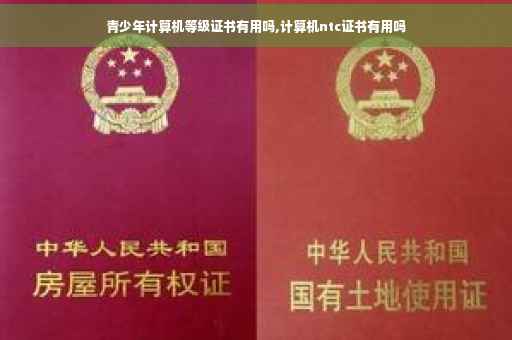 青少年计算机等级证书有用吗,计算机ntc证书有用吗