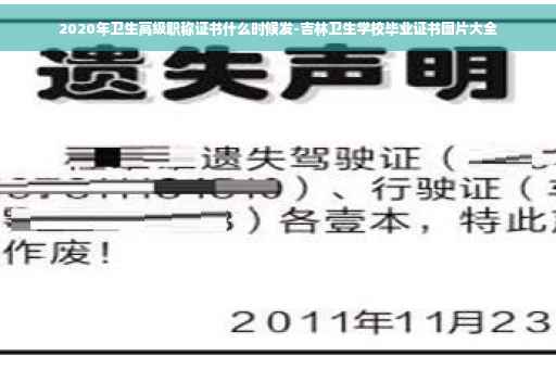 2020年卫生高级职称证书什么时候发-吉林卫生学校毕业证书图片大全