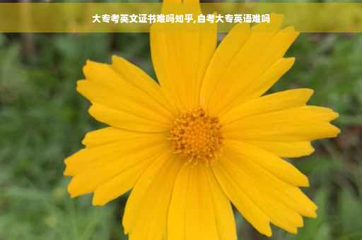 大专考英文证书难吗知乎,自考大专英语难吗