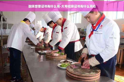 院级荣誉证书有什么用-大专校级证书有什么用处