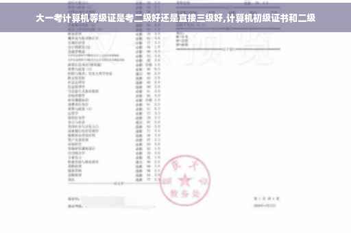 大一考计算机等级证是考二级好还是直接三级好,计算机初级证书和二级