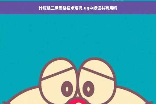 计算机三级网络技术难吗,ug中级证书有用吗