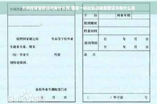 大学校级荣誉证书有什么用,国家一级社会团体荣誉证书有什么用
