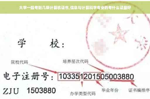 大学一般考到几级计算机证书,信息与计算科学专业的考什么证最好