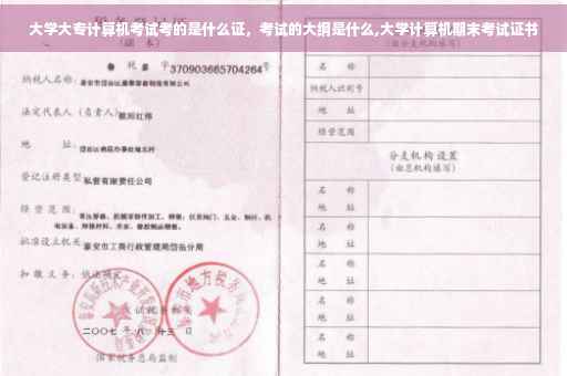 大学大专计算机考试考的是什么证，考试的大纲是什么,大学计算机期末考试证书