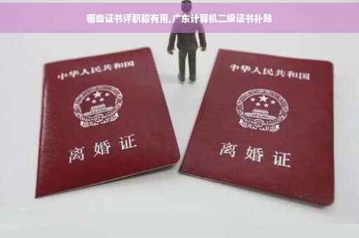 哪些证书评职称有用,广东计算机二级证书补贴
