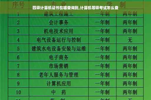 四级计算机证书在哪查询到,计算机等级考试怎么查