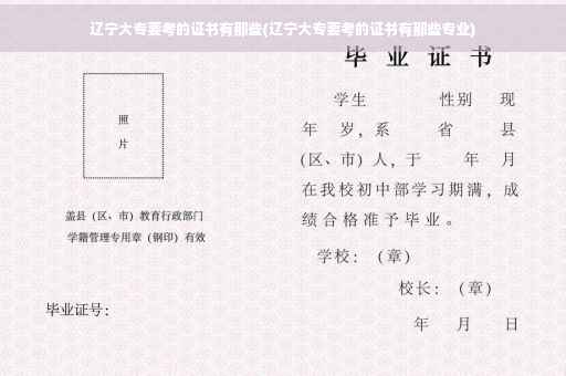 辽宁大专要考的证书有那些(辽宁大专要考的证书有那些专业)