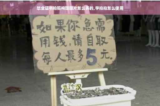 毕业证书拍照构图图片怎么弄的,学拍拍怎么使用