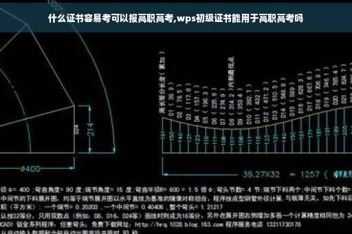 什么证书容易考可以报高职高考,wps初级证书能用于高职高考吗