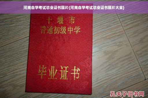河南自学考试毕业证书图片(河南自学考试毕业证书图片大全)