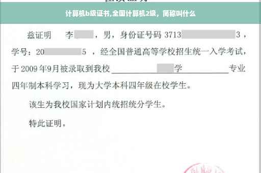 计算机b级证书,全国计算机2级，简称叫什么