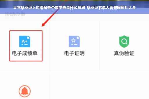 大学毕业证上的编码各个数字各是什么意思-毕业证书单人背景图图片大全